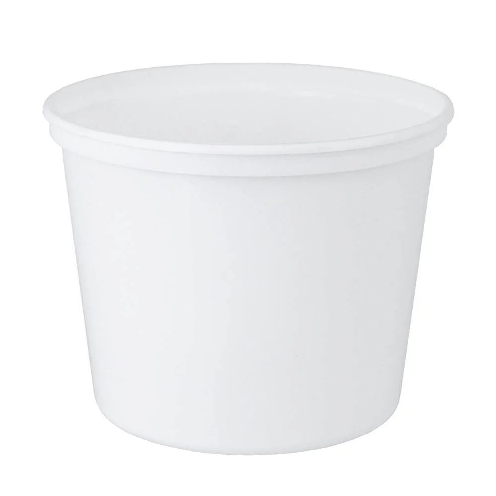 20 oz. BPA-Free Food-Grade Container (T41020CP) - Case of 500